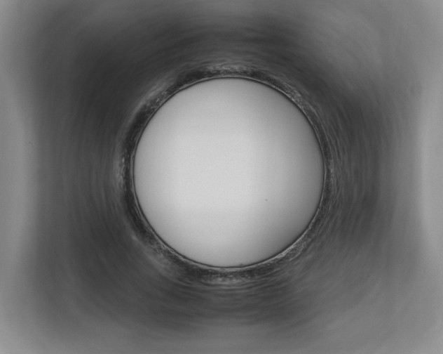X0000112950735200908241026