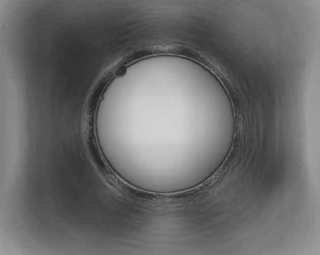 X0000112950736200908241026