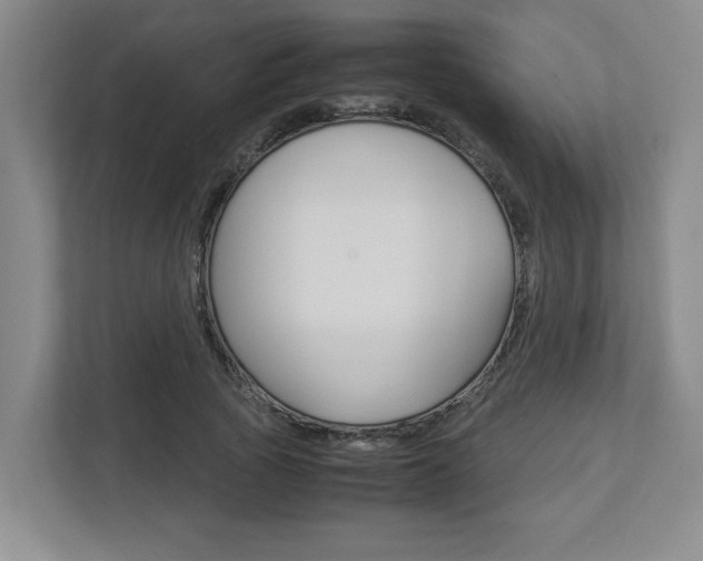 X0000112950737200908241026