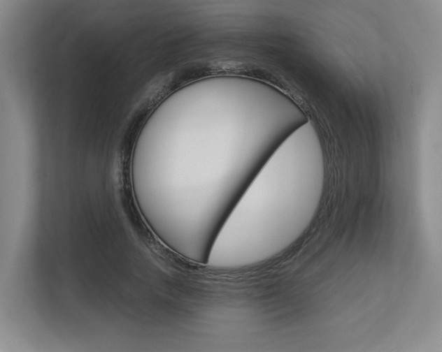 X0000112950738200908241027