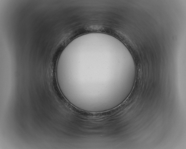 X0000112950739200908241027