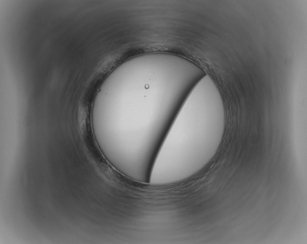 X0000112950742200908241027