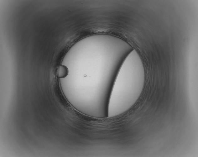 X0000112950743200908241027