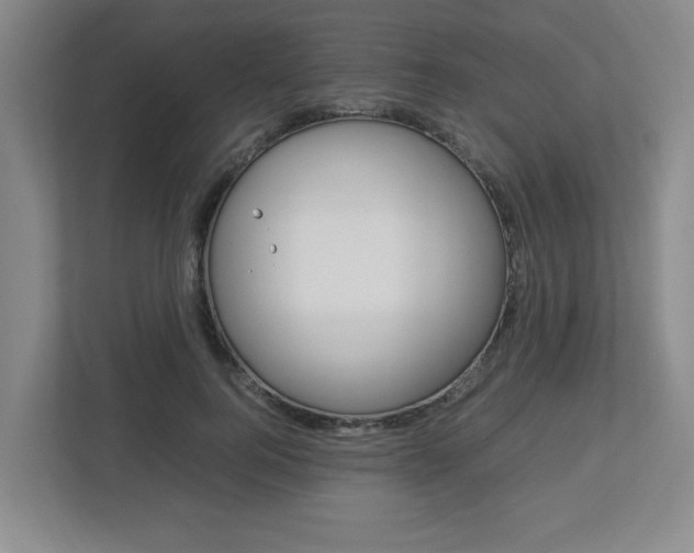 X0000112950744200908241027