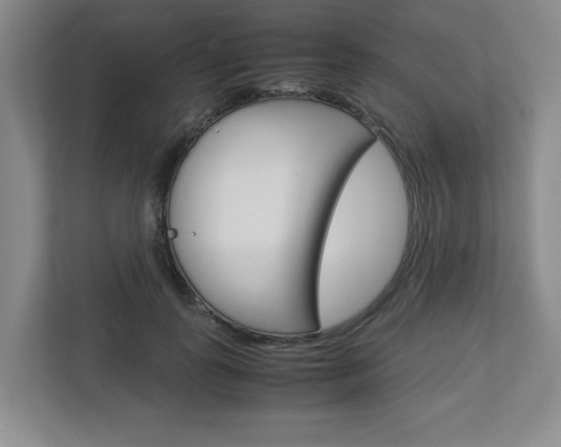 X0000112950747200908241027