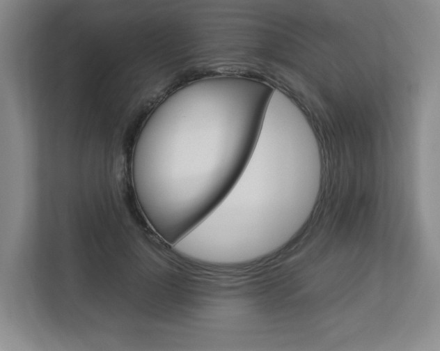 X0000112950748200908241027