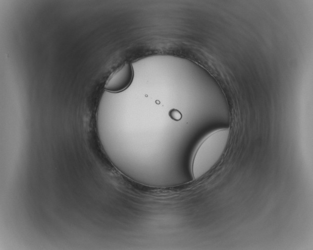 X0000112950750200908241027