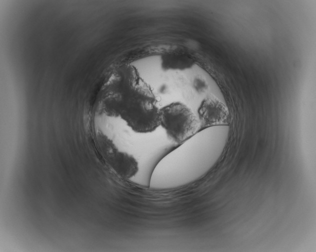 X0000112950753200908241027