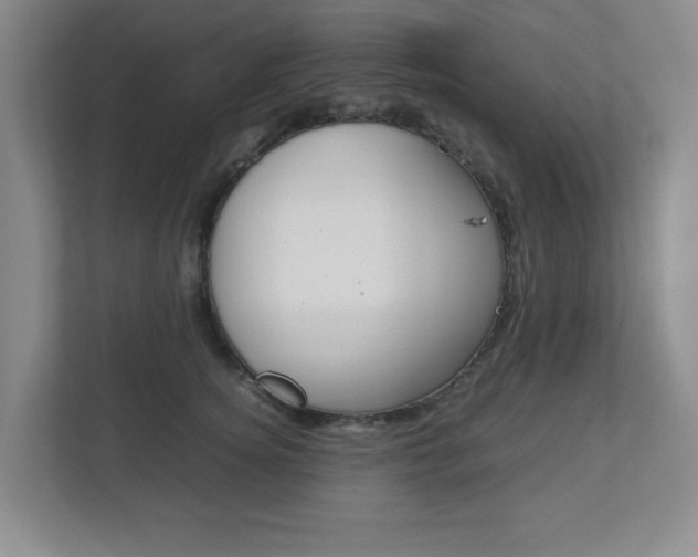 X0000112950756200908241027