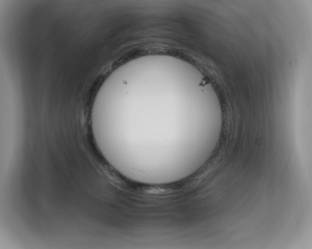 X0000112950759200908241027