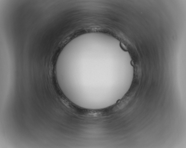 X0000112950760200908241027