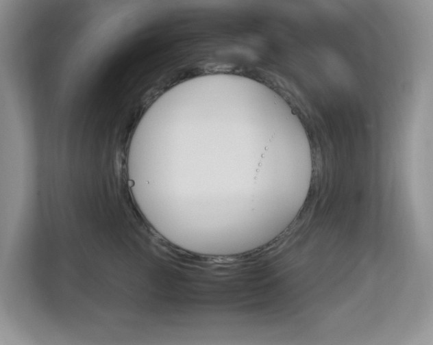 X0000112950761200908241027