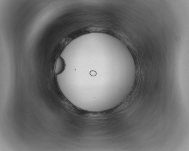 X0000112950763200908241027