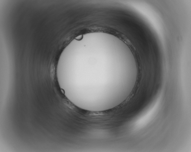X0000112950767200908241027