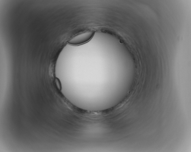 X0000112950768200908241027
