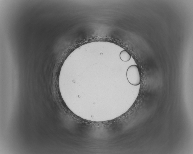 X0000112950769200908241026