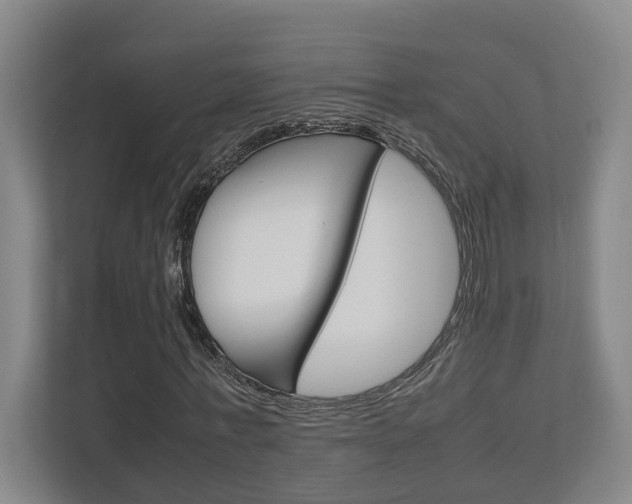 X0000112950771200908241026