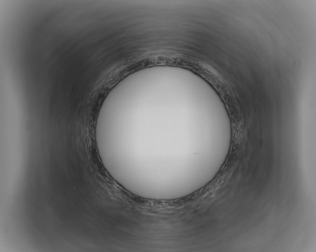 X0000112950774200908241026