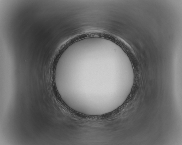 X0000112950775200908241026