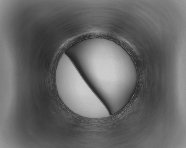 X0000112950776200908241026