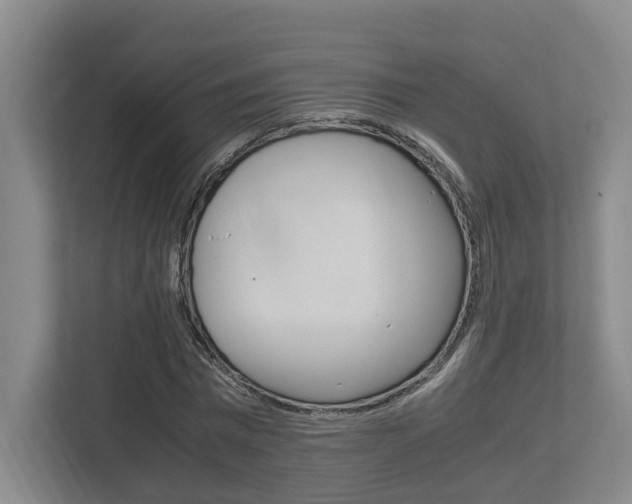 X0000112950777200908241026