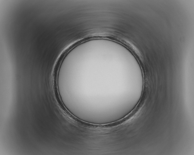 X0000112950779200908241026