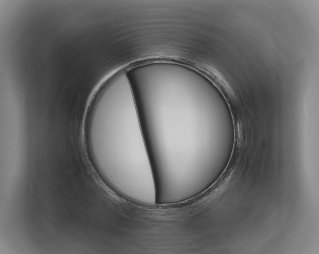 X0000112950780200908241026
