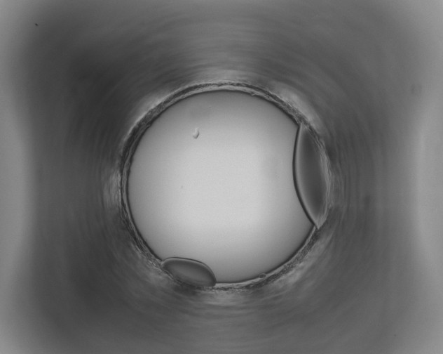 X0000112950781200908241026