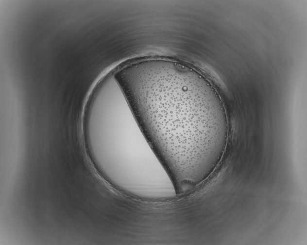 X0000112950784200908241026