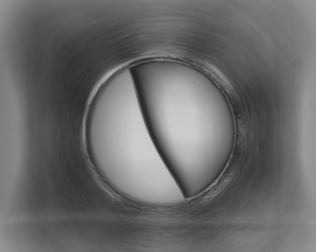 X0000112950788200908241026