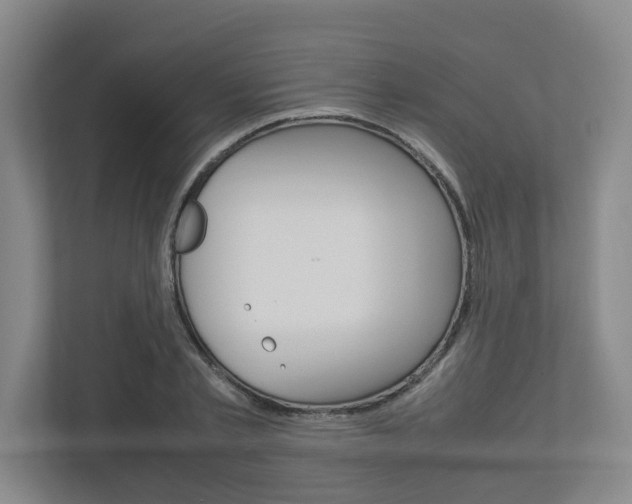 X0000112950789200908241026