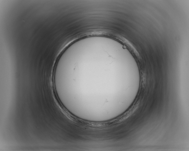 X0000112950794200908241026