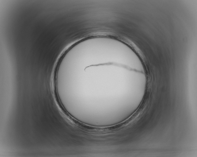 X0000112950795200908241026