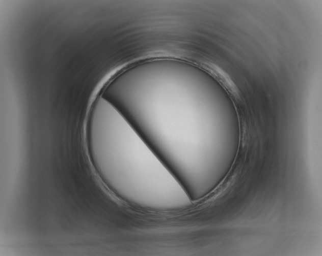 X0000112950796200908241026
