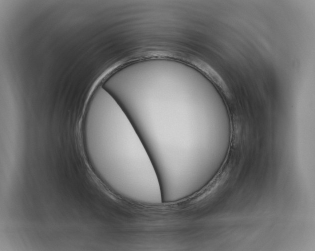 X0000112950798200908241026