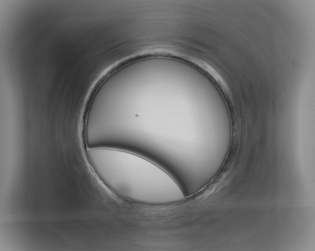 X0000112950799200908241026