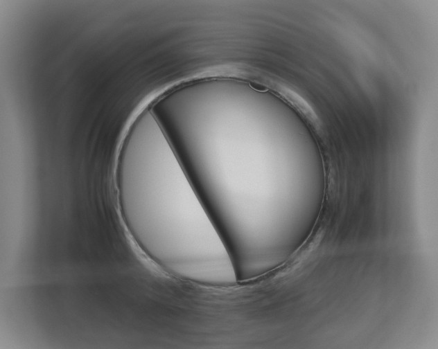 X0000112950800200908241026