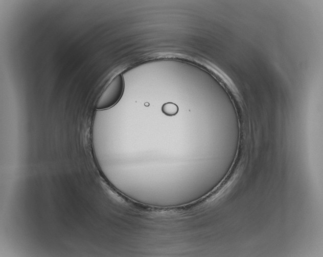 X0000112950801200908241026