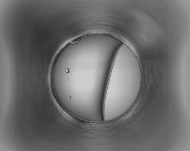 X0000112950803200908241026