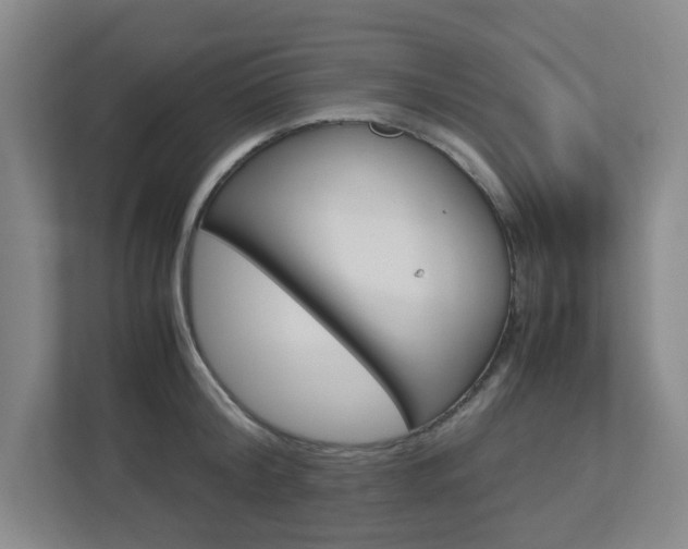 X0000112950804200908241026