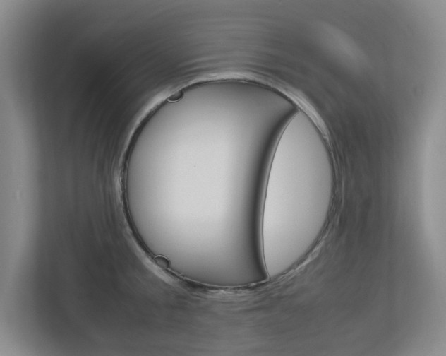 X0000112950805200908241026