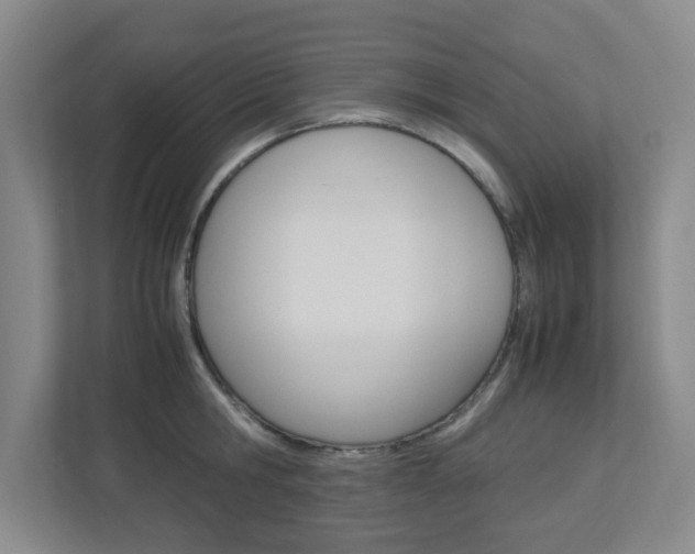X0000112950806200908241026