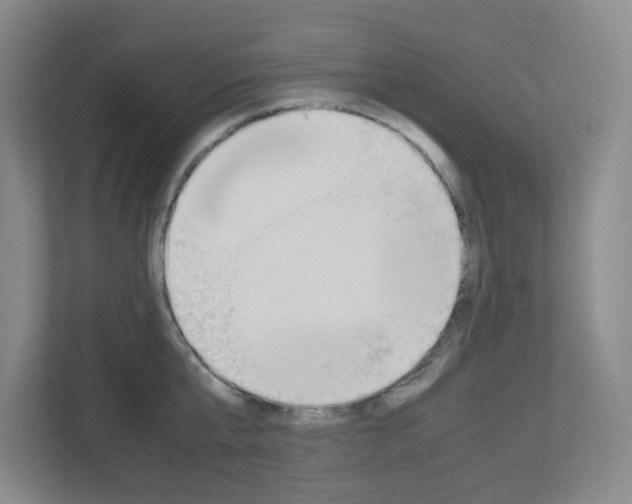X0000112950807200908241026