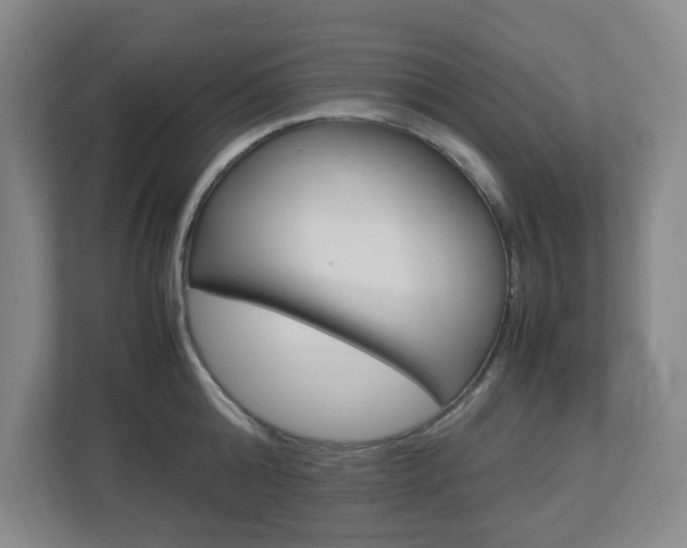 X0000112950808200908241026
