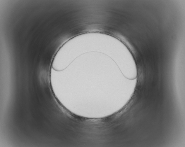 X0000112950810200908241026