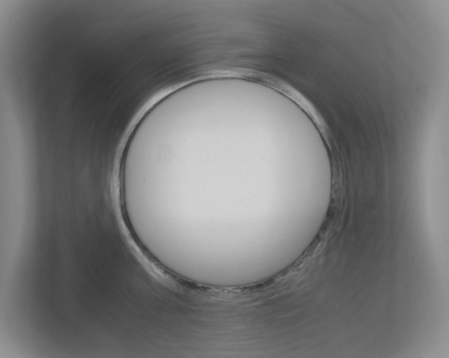 X0000112950811200908241026
