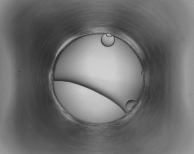 X0000112950814200908241026