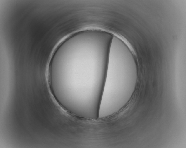 X0000112950815200908241026