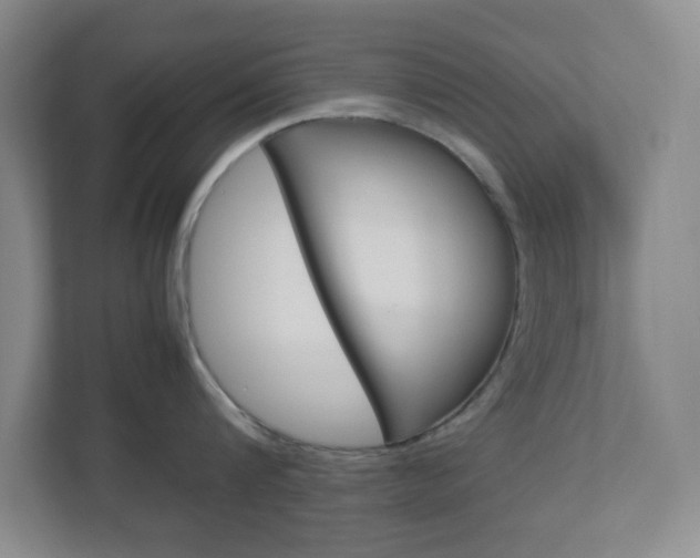 X0000112950816200908241026