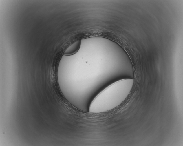 X0000112950818200908241025